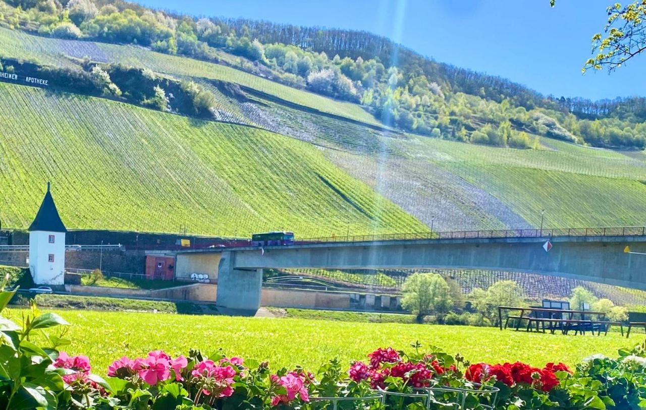 Krone Riesling 3*