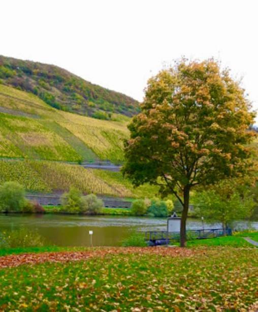 Krone Riesling Hotel